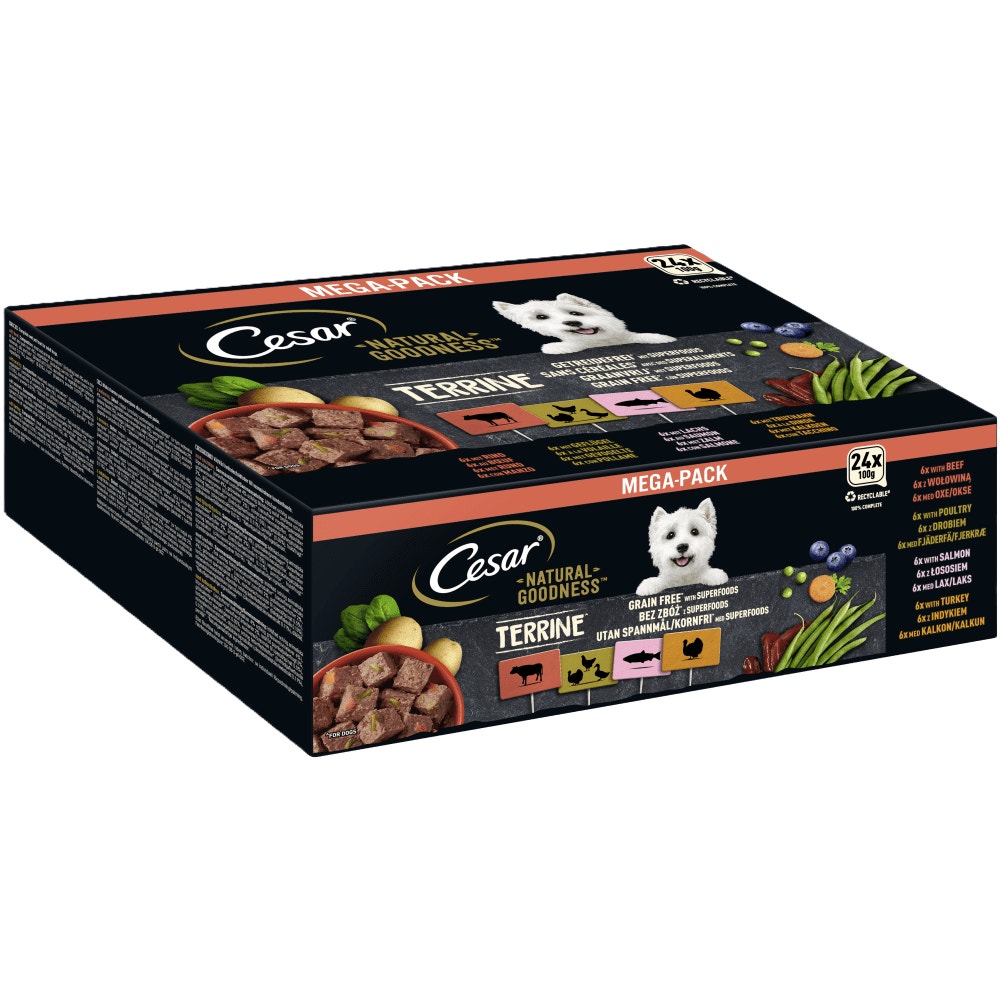 CESAR® NATURAL GOODNESS™ Terrine, 4 Varietäten Rind, Geflügel, Lachs, Truthahn, ohne Getreide, mit Superfoods, Multipack 24 x 100g - 1