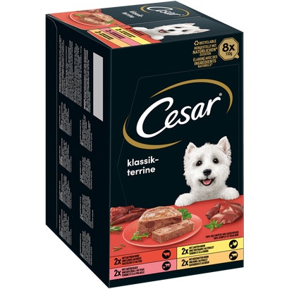 Multipack Klassik-Terrine 4 Varietäten, Schale